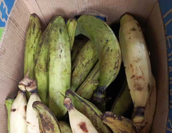 Banane plantain