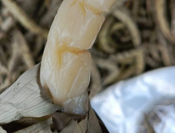 Bobolo