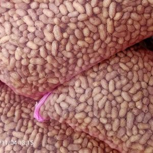 Arachides fraiches