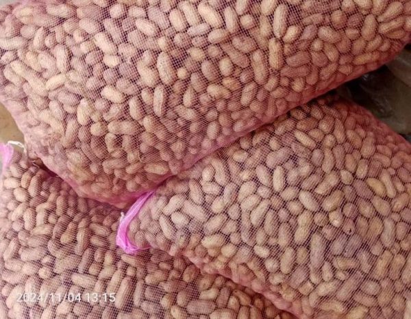 Arachides fraiches