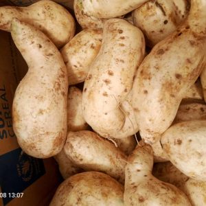 Patate