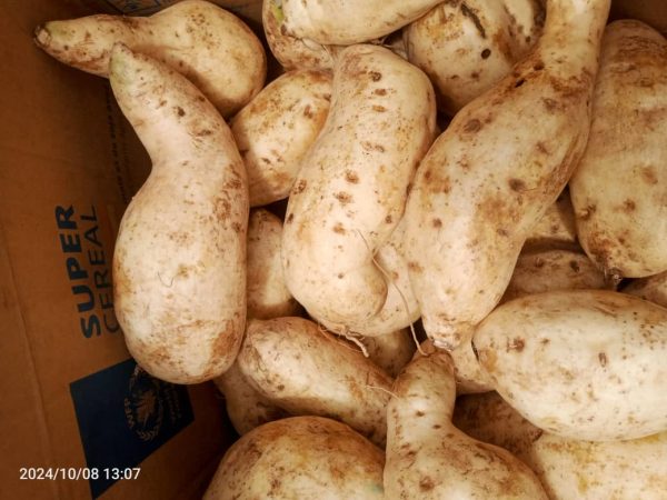 Patate